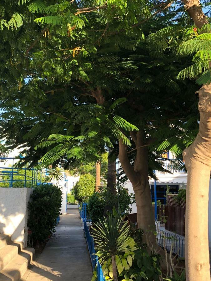 Bungalow Playmar Playa del Inglés Zewnętrze zdjęcie